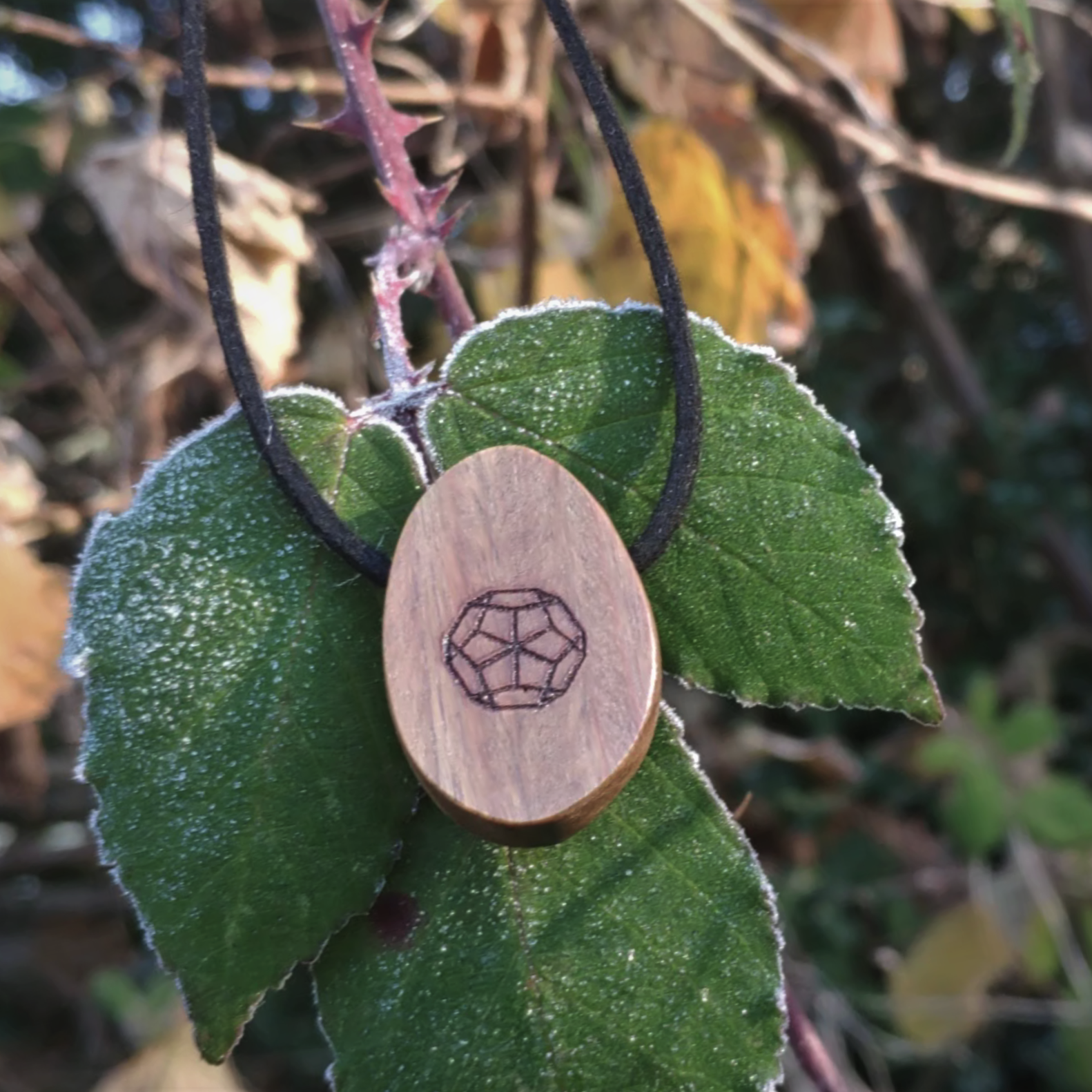 SALE ORB Pendant - Lignum (Deca)