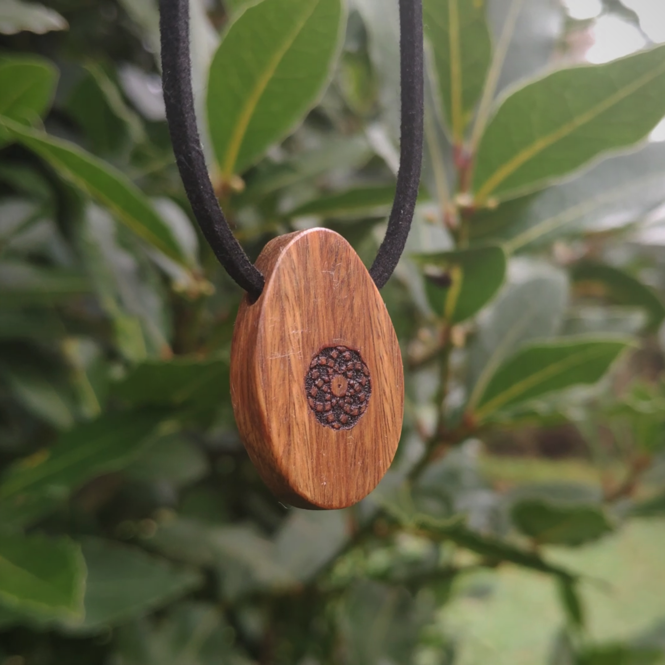 SALE ORB Pendant - Lignum (Torus)